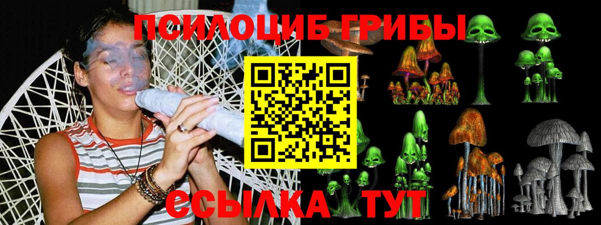 где продают   Псилоцибиновые грибы прущие грибы  Вход с VPN  Моздок  Галлюциногенные грибы ЛСД 