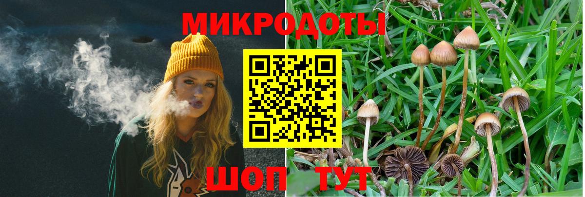 Галлюциногенные грибы GOLDEN TEACHER Моздок